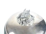 a silver plate with a dog on top of it