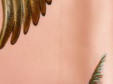 close up of a pink shirt with a gold bird on it