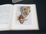 an open book with a picture of a fish and a bird on it