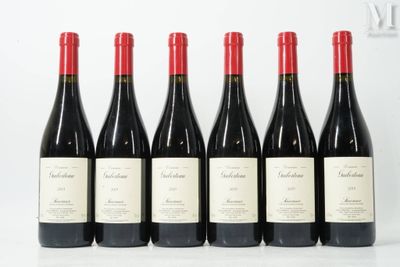six bottles of red wine are lined up in a row
