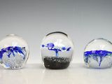 trois vases en verre contenant des fleurs bleues et blanches