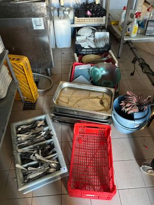 many trays of fish on the floor in the kitchen