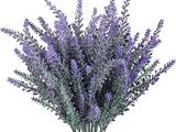 purple flowers in a glass vase on a white background