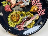 a plate with a variety of sea life on it