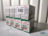 des boîtes de nourriture pour chiens empilées les unes sur les autres sur une table