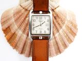 a watch that is sitting on top of a shell