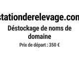 Photo 1/1 du lot