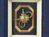 an image of a picture of a gold dragon in a frame