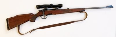 Carabine de grande chasse Steyr Mannlicher modèle M en calib…