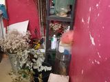a room with a bunch of plants in it