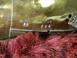 a close up of a gold plate on a red fur