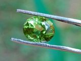 un gros plan sur une pierre précieuse verte tenue par un tweet