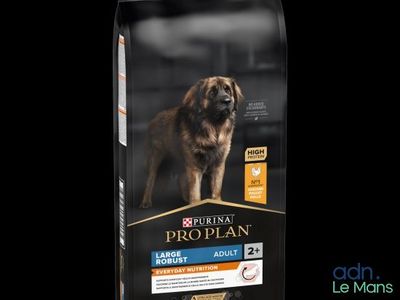 pro plan large breed adult lamb and rice dry dog food