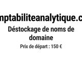 Photo 1/1 du lot