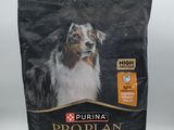 Purina Pro Plan Adult Large Breed : croquettes pour chiens adultes de grande race au poulet et au riz