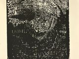 an image of a black and white drawing of a snake