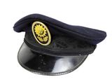 a black hat with a gold lion emblem on it