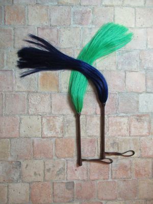 un oiseau vert et noir avec une longue queue sur un mur de briques
