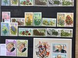 une photo d'une collection de timbres exposée