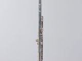 a silver flute sitting on top of a glass stand