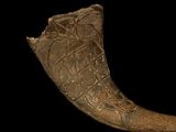 an image of a large horn with intricate carvings on it