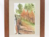 aquarelle encadrée représentant un sentier dans les bois au bord d'une rivière