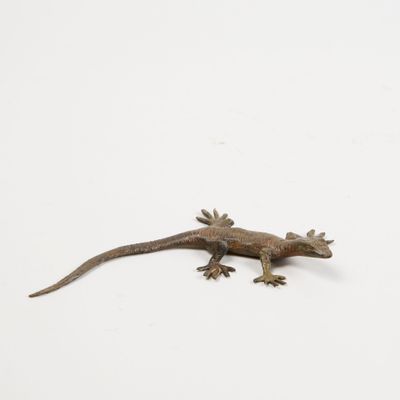 lizard on a white background with copy space for your own text