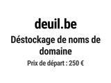 Photo 1/1 du lot