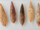 six different types of arrowheads are shown on a white surface