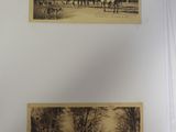 two old photos of horses and people in the woods
