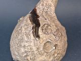 a stone sculpture of a cat with a bird on it ' s head