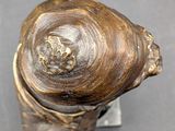 an image of a close up of a metal object on a table