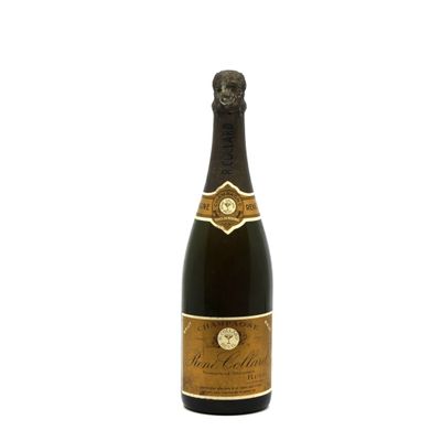 a close up of a bottle of wine on a white background