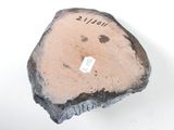 Photo 14/21 du lot