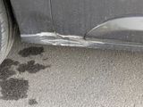 a dog paw print on the ground next to a car