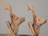 pair of carved deer heads on acrylic bases