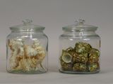 two glass jars with shells in them on a white surface