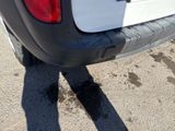 a car that has a sticker on the back of it ' s bumper