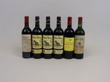 six bouteilles de vin sont alignées sur une surface blanche