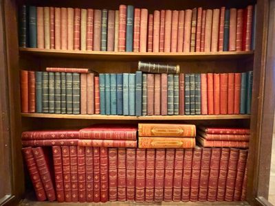 beaucoup de livres sur les étagères de la pièce