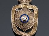 a close up of a badge with a crown on it