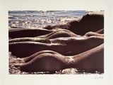 a picture of a group of nudes laying on the beach