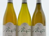 trois bouteilles de vin blanc sont alignées sur une table