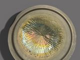 an image of a plate with a circular design on it