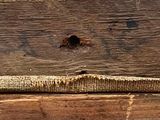 a close up of a piece of wood with a lizard on it ' s back