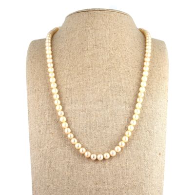 a white pearl necklace on a mannequin mannequin mannequin mannequin mannequin mannequin mannequin mannequin manne