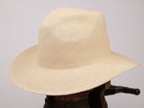 Ce chapeau est en paille et possède un large bord