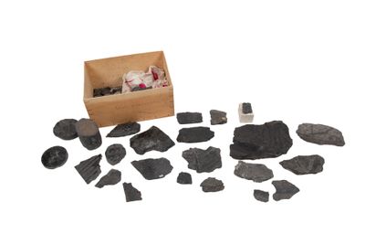 a box of rocks and stones on a white surface