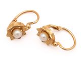 pair of pearl and gold earrings on white background