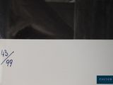 a picture of a picture of a horse with a tag on it
